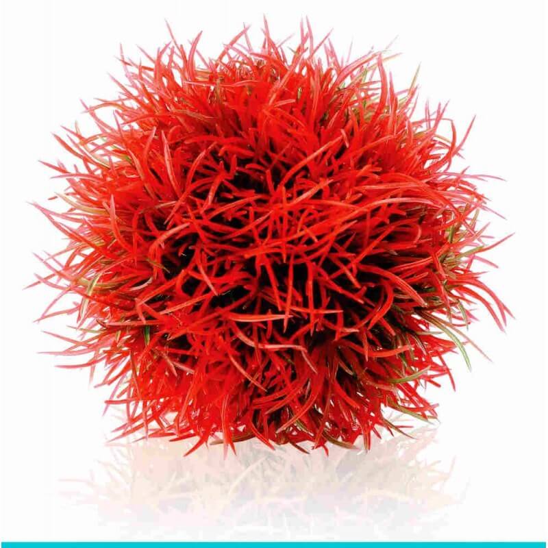 biOrb-46063 AQUATIC  kula czerwona