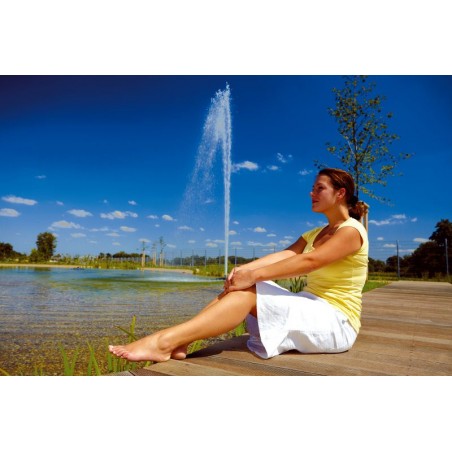 czy chcesz zakupić Fontanna pływająca MIDI II 1.1