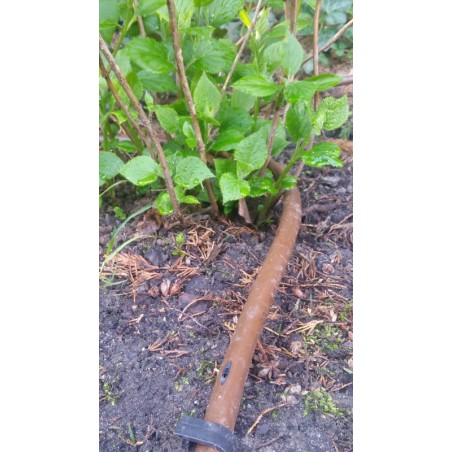 czy chcesz zakupić Linia kroplujaca 100m