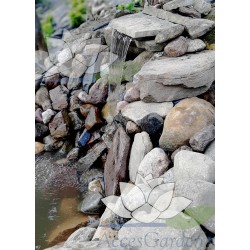 powinieneś mieć Pondofall Led Pontec