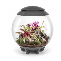 biOrb AIR 60 szary- terrarium
