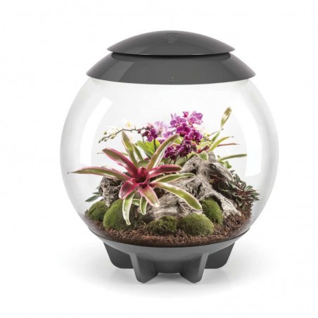 biOrb AIR 60 szary- terrarium