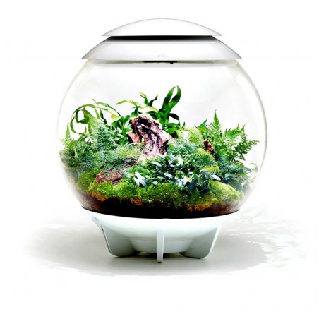 biOrb AIR 60 biały- terrarium