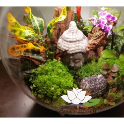 biOrb-AIR-60-biały-terrarium-kompozycja-Budda-storczyk