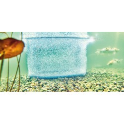 powinieneś mieć Pierścień napowietrzający Aquaoxy