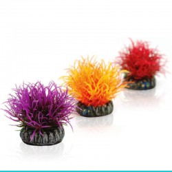 powinieneś mieć biOrb-46061 zestaw kul roślinnych kolorowych