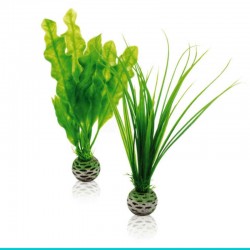 powinieneś mieć biOrb-46055 trawa i onowodek S (niskie)