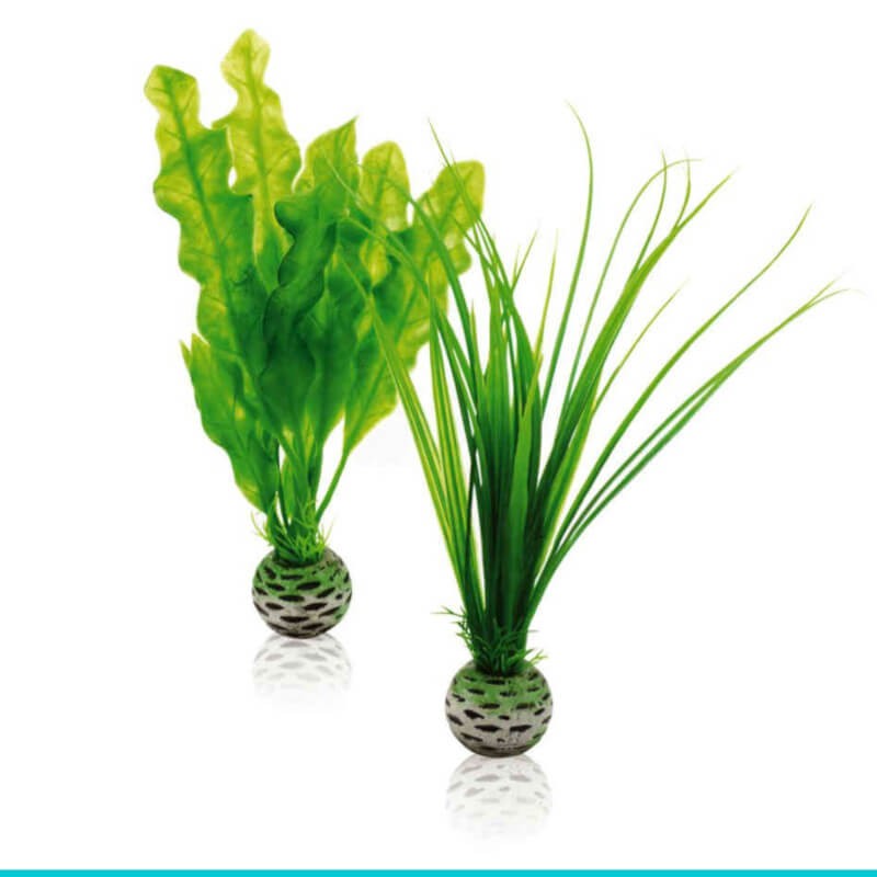 biOrb-46055 trawa i onowodek S (niskie)