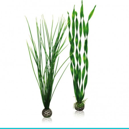 czy chcesz zakupić biOrb-46057 zestaw roślin L trawa i nurzaniec