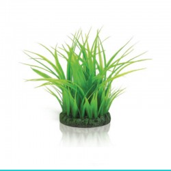 powinieneś mieć biOrb-46103 trawa morska niska