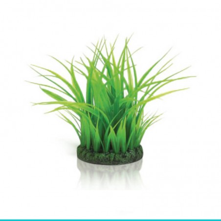 czy chcesz zakupić biOrb-46103 trawa morska niska