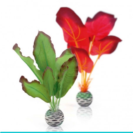 czy chcesz zakupić biOrb-46099 rośliny zielona i czerwona