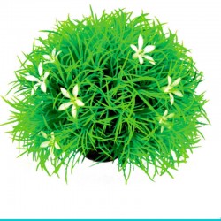 powinieneś mieć biOrb - 46086 kula roślin ze stokrotkami