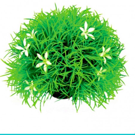 czy chcesz zakupić biOrb - 46086 kula roślin ze stokrotkami