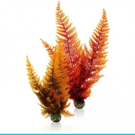 czy chcesz zakupić biOrb-46065 AQUATIC set 2 - paproć jesienna