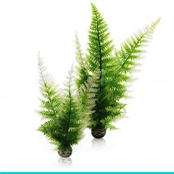 powinieneś mieć biOrb-46066 AQUATIC set 2 - paproć
