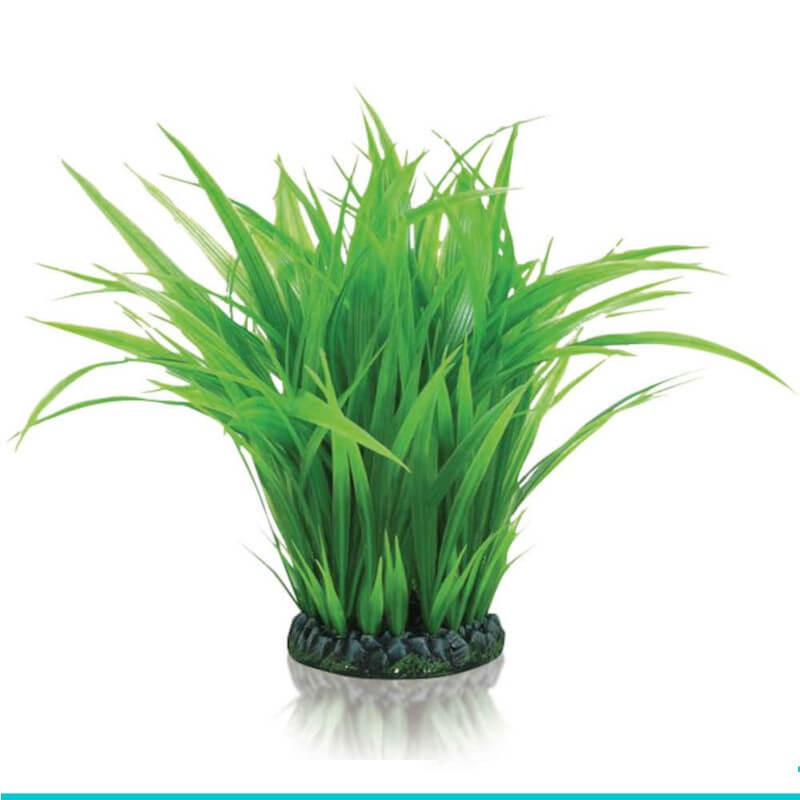 biOrb-46105 trawa morska wysoka