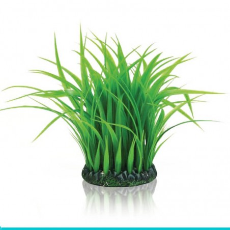 czy chcesz zakupić biOrb-46104 trawa morska średnia