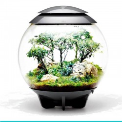 powinieneś mieć biOrb AIR 60 szary- terrarium
