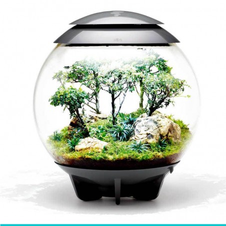 czy chcesz zakupić biOrb AIR 60 szary- terrarium