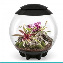 powinieneś mieć biOrb AIR 60 czarny- terrarium