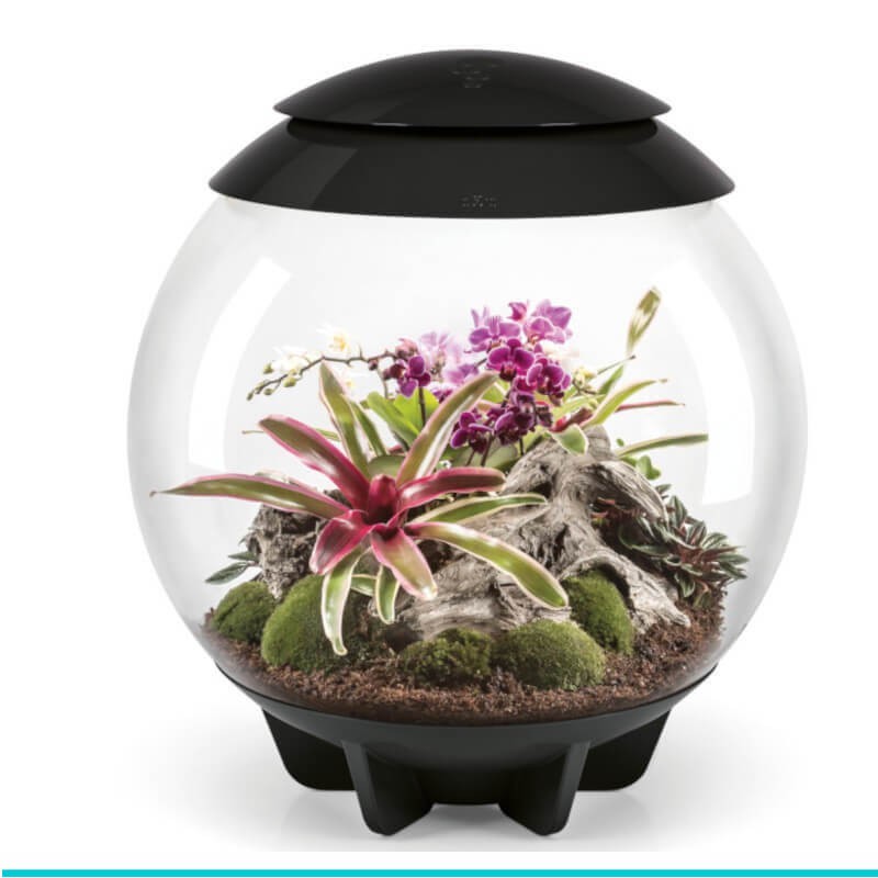Terrarium biOrb czarny