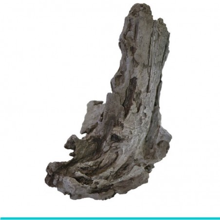 czy chcesz zakupić biOrb-46159 AIR korzeń drzewa bogwood