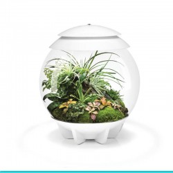 powinieneś mieć biOrb AIR 30 biały- terrarium