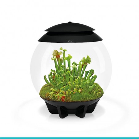 czy chcesz zakupić biOrb AIR 30 czarne- terrarium