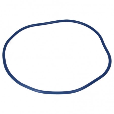 czy chcesz zakupić 77773 O-ring pokrywy Filtoclear