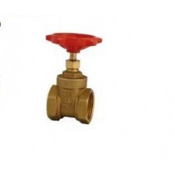 powinieneś mieć Zasuwa klinowa 3/4