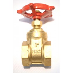 powinieneś mieć Zasuwa klinowa 1