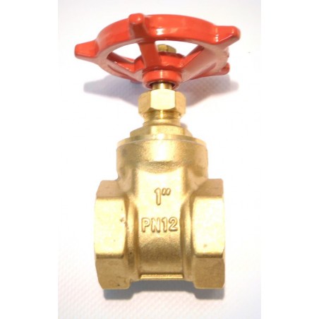 czy chcesz zakupić Zasuwa klinowa 1