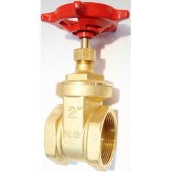 powinieneś mieć Zasuwa klinowa 2