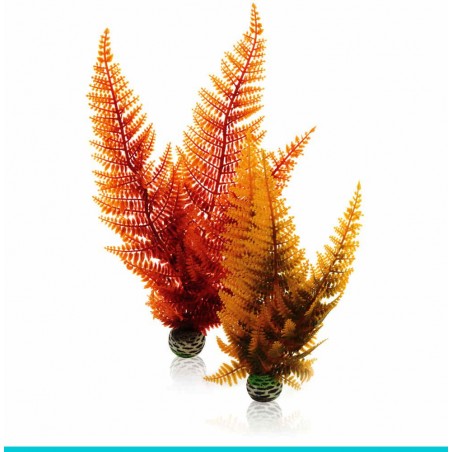 biOrb-46065 AQUATIC set 2 - paproć jesienna