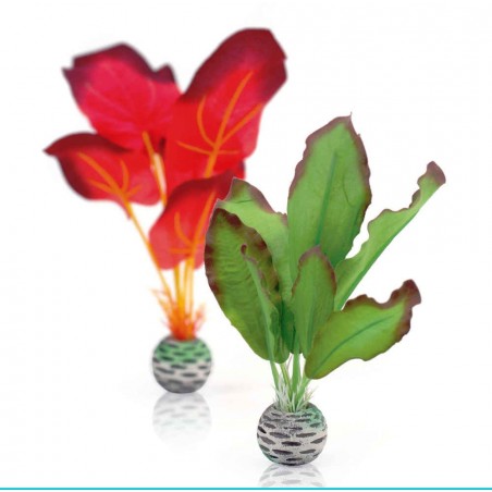 biOrb-46099 rośliny zielona i czerwona