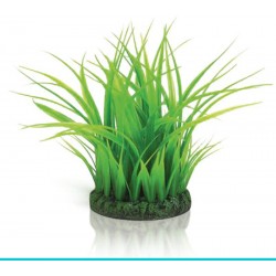 biOrb-46103 trawa morska niska