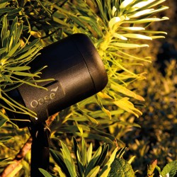 oświetlenie OASE 87022 LunAqua Connect L Solo w igliwiu