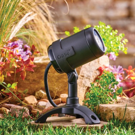 czy chcesz zakupić OASE-87022 LunAqua Connect L Solo