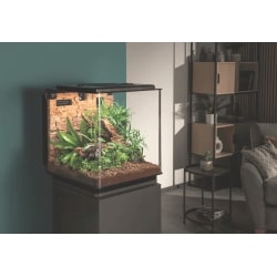 powinieneś mieć biOrb EARTH 125 – terrarium nowej generacji