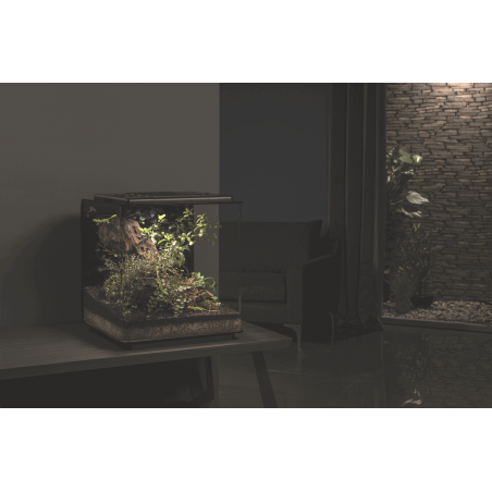 biOrb EARTH 125 – terrarium nowej generacji