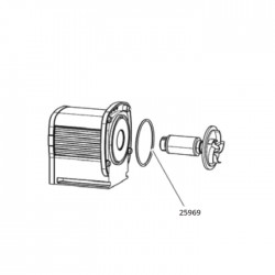 25969-O-ring swimskim