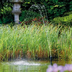 pompa fontannowa z dyszami Aquarius Fountain Set Classic 2000 OASE