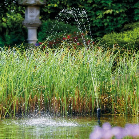 Aquarius Fountain Set Classic 3000 E