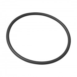 powinieneś mieć 28539 O-Ring 78 x 4,3 AquaMax 4000-10000 i Gravity