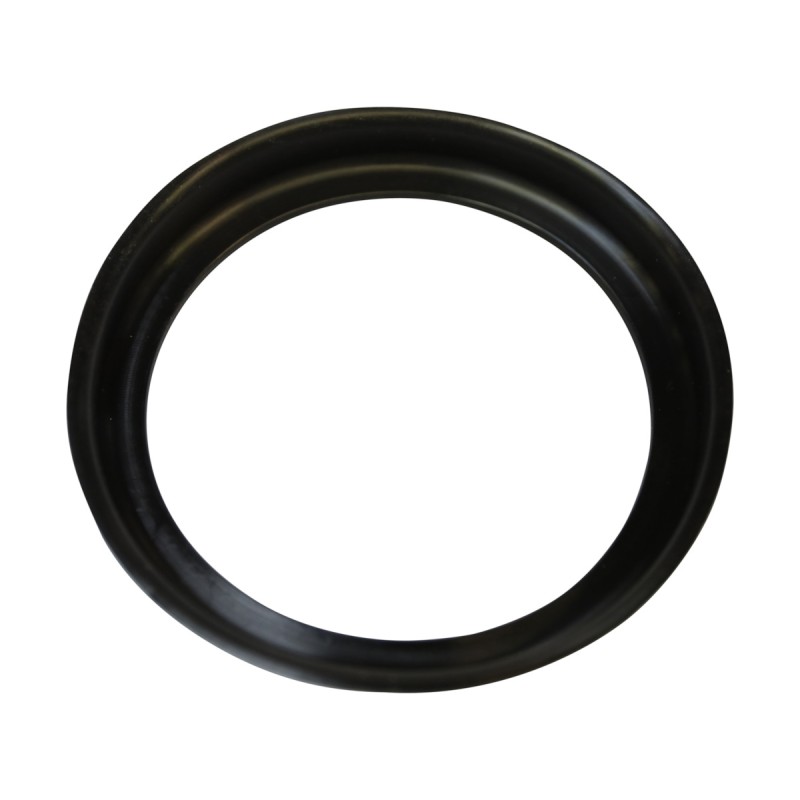 16750 Pierścień pompy - części do ProfiClear